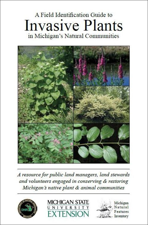 Invasive Plants book cover