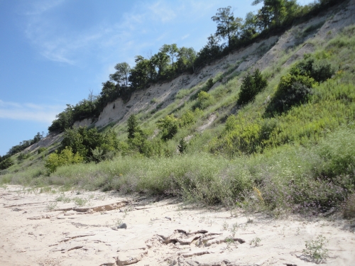 A photo of the Clay Bluffs natural community type
