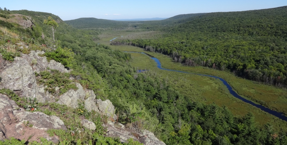 A photo of a natural community