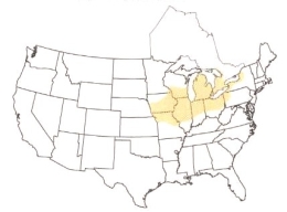 Map showing range of eastern massasauga