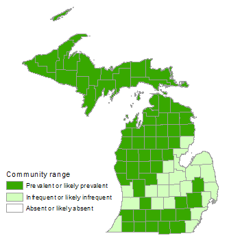 Michigan Peat Moss