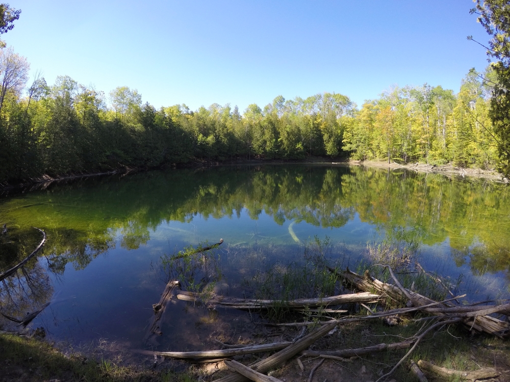 A photo of the Sinkhole natural community type