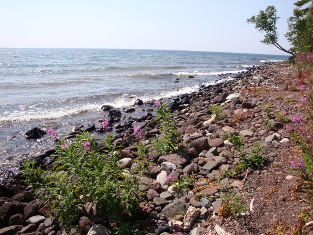 A photo of the Volcanic Cobble Shore natural community type