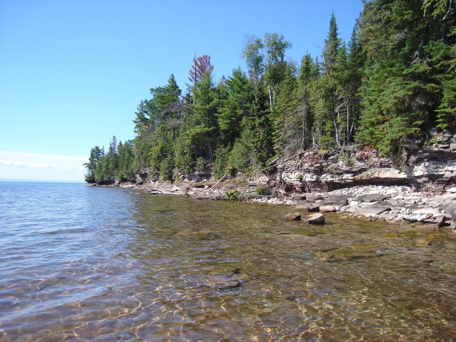 Boreal Forest - Michigan Natural Features Inventory