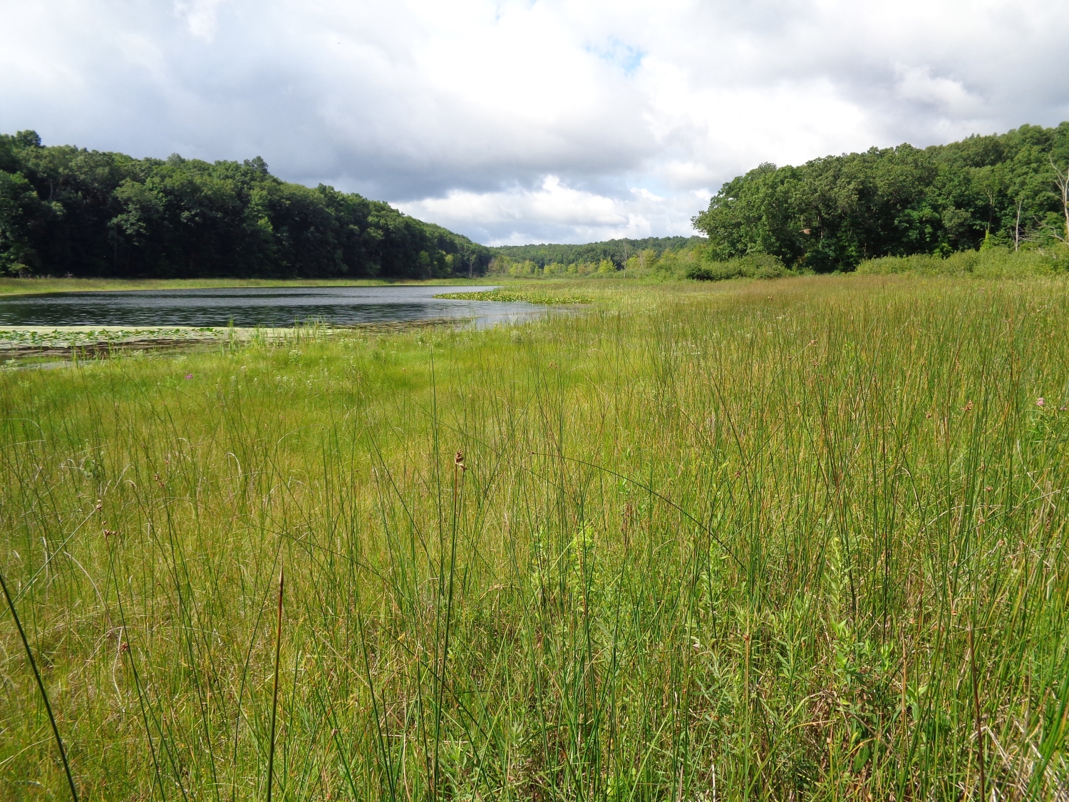 Prairie Fen - Michigan Natural Features Inventory