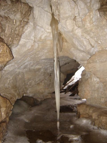 A photo of the Cave natural community type