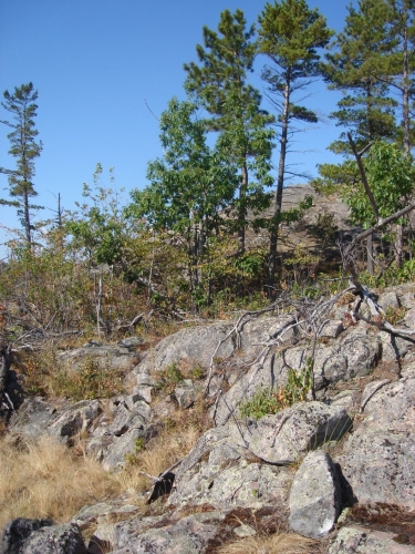 A photo of the Granite Bedrock Glade natural community type