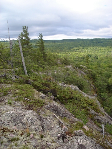 A photo of the Granite Bedrock Glade natural community type