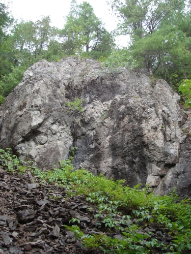 A photo of the Granite Cliff natural community type