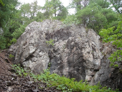 A photo of the Granite Cliff natural community type