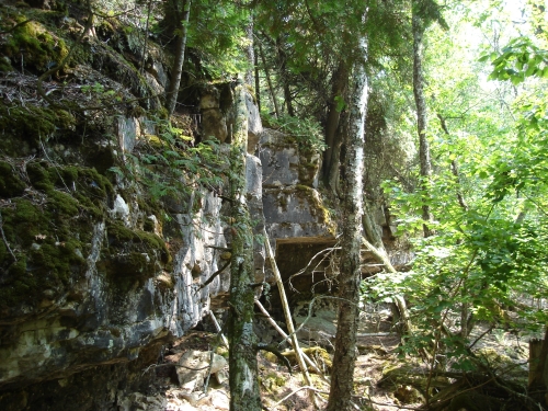 A photo of the Limestone Cliff natural community type