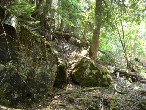 A photo of the Limestone Cliff natural community type