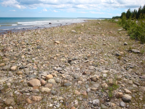 A photo of the Limestone Cobble Shore natural community type