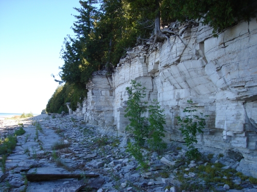 A photo of the Limestone Lakeshore Cliff natural community type