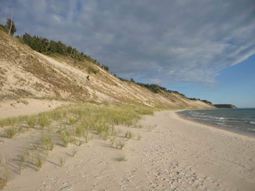 A photo of the Open Dunes natural community type