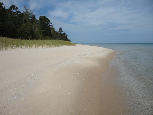 A photo of the Sand and Gravel Beach natural community type