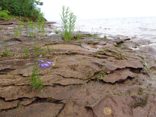 A photo of the Sandstone Bedrock Lakeshore natural community type