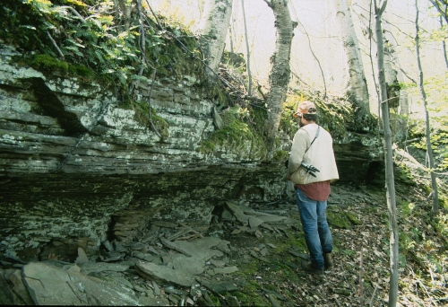 A photo of the Sandstone Cliff natural community type
