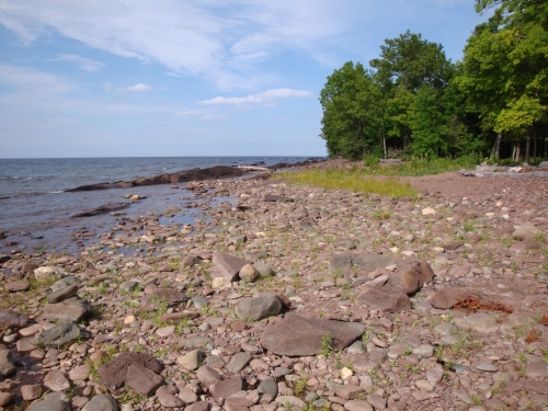 A photo of the Sandstone Cobble Shore natural community type