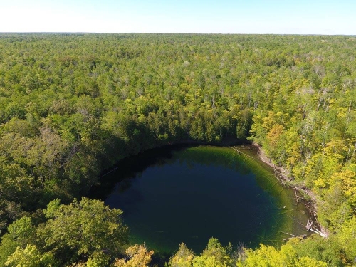 A photo of the Sinkhole natural community type