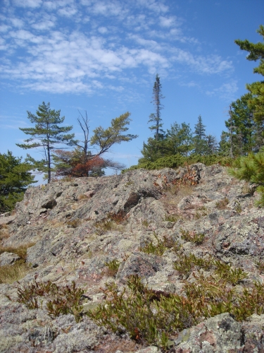 A photo of the Volcanic Bedrock Glade natural community type
