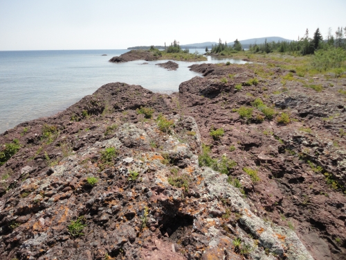A photo of the Volcanic Bedrock Lakeshore natural community type