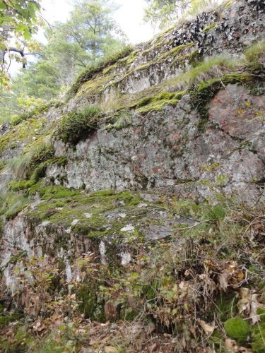 A photo of the Volcanic Cliff natural community type