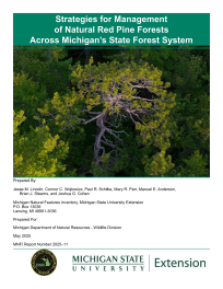 Thumbnail image of report cover