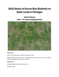 Thumbnail image of report cover