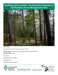 Thumbnail image of report cover