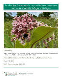 Thumbnail image of report cover