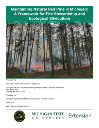 Thumbnail image of cover for report 2026-10